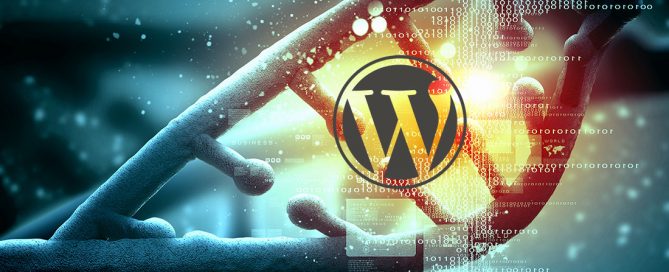 wordpress